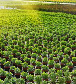 Highland Grove Landscaping & Farm