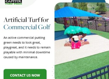 Capitol Turf Pros