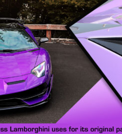 Exotic Car Gear Inc.
