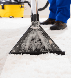St. Albert Carpet Cleaning