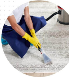 St. Albert Carpet Cleaning