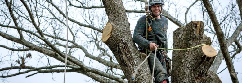 Kanata Tree Service Masters