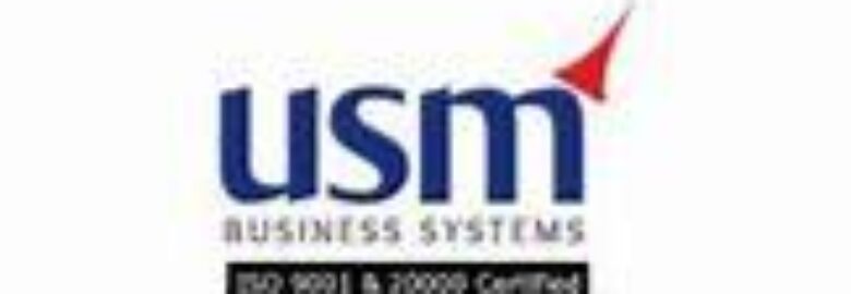 USM Business Systems – AI Solutions & Mobile App Development Services