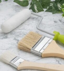 Dubai Painting Services