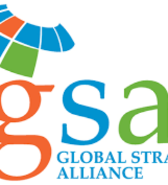 Global Strategic Alliance, LLC