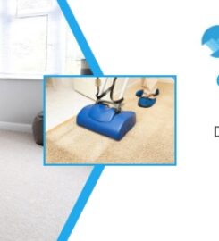 Denver Cleaning Service Company