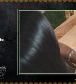 Southeast Asia Food Group