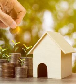 Maximum Property Solutions