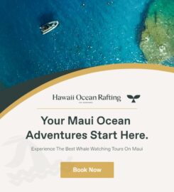 Hawaii Ocean Rafting