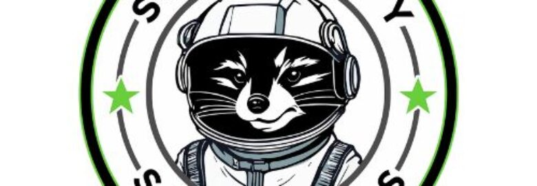 Space City Sanitizers