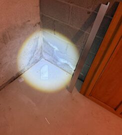 Soflo Mold Specialist