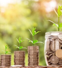 Menlo Oaks Capital Group LLC