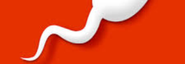 A Deep Dive into BitLife