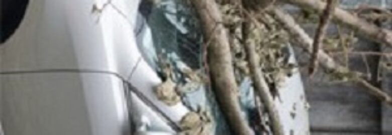 Farmers Insurance – Cindy Cochran