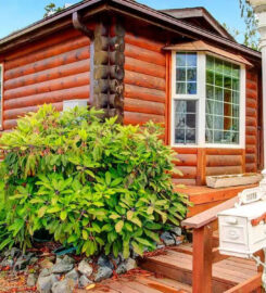 Team Zanet – Windsor Mortgage Solutions