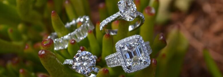 David & Sons Fine Jewelers – San Diego Engagement Rings