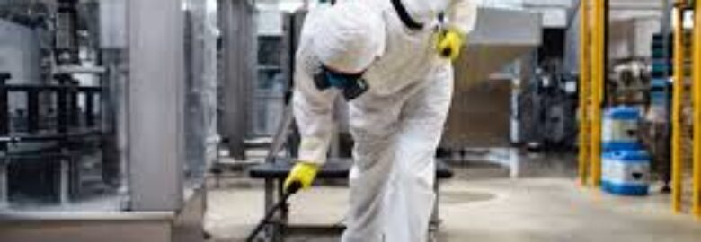 Mega Pest Control Langley