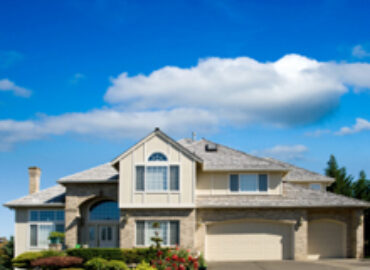 ProActive Pest Control