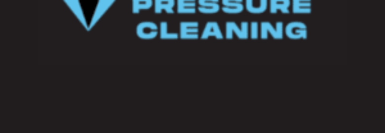 Dan Ryan's Pressure Cleaning