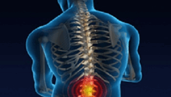 MNJ Chiropractic & Wellness Clinic