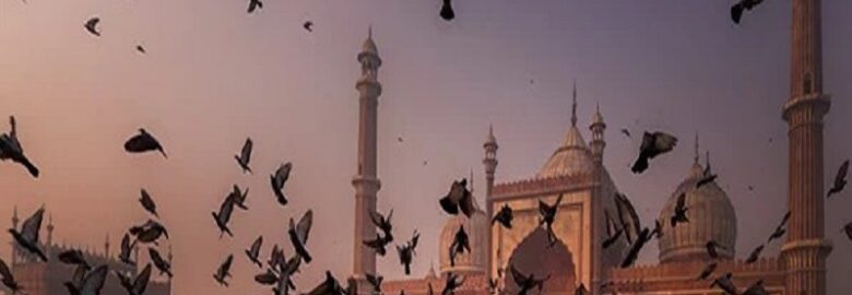 Indian Maharaja Tours | Premium Golden Triangle & Wildlife Tours in India