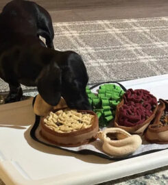 PawzNDogz