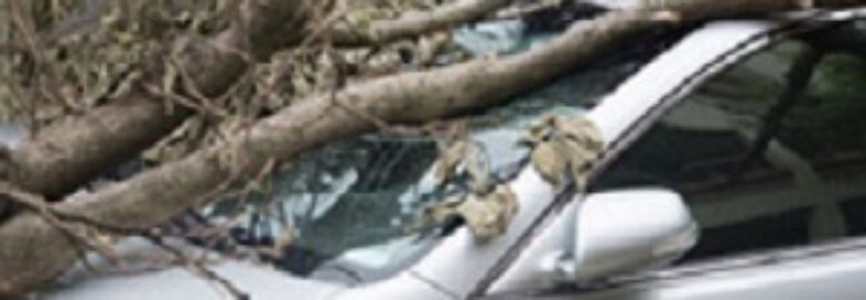 Quality Insurance Of Tallahassee
