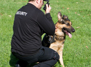 Leadedge Security Services