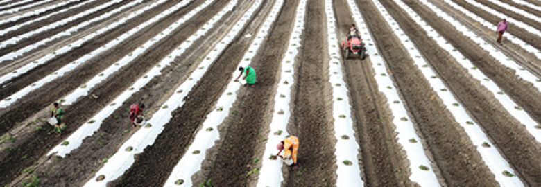 Ishka Renewable Farm Pvt Ltd