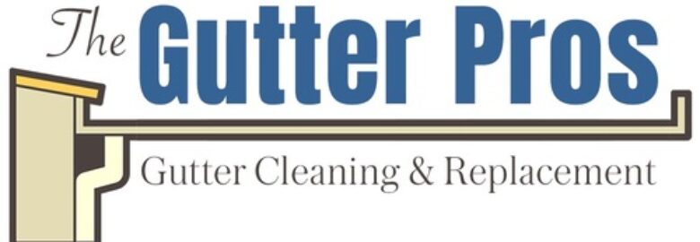 The Gutter Pros