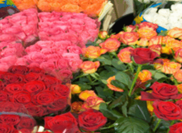 Grapevine Garden & Florist