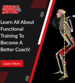 Muscle and Motion