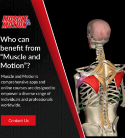 Muscle and Motion