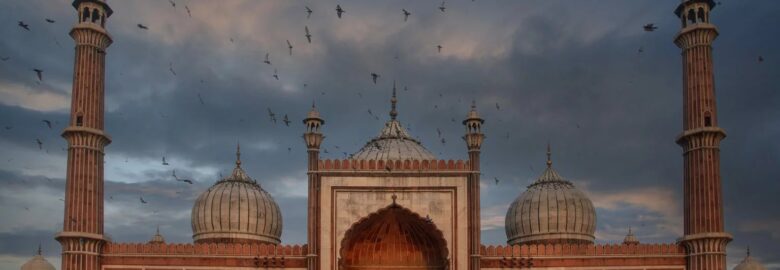 Indian Maharaja Tour